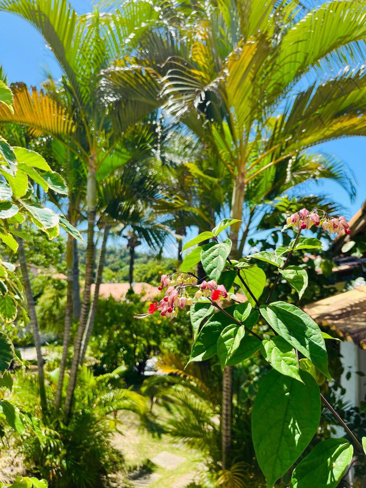 Casa Tua Pipa Apartman Praia de Pipa Kültér fotó