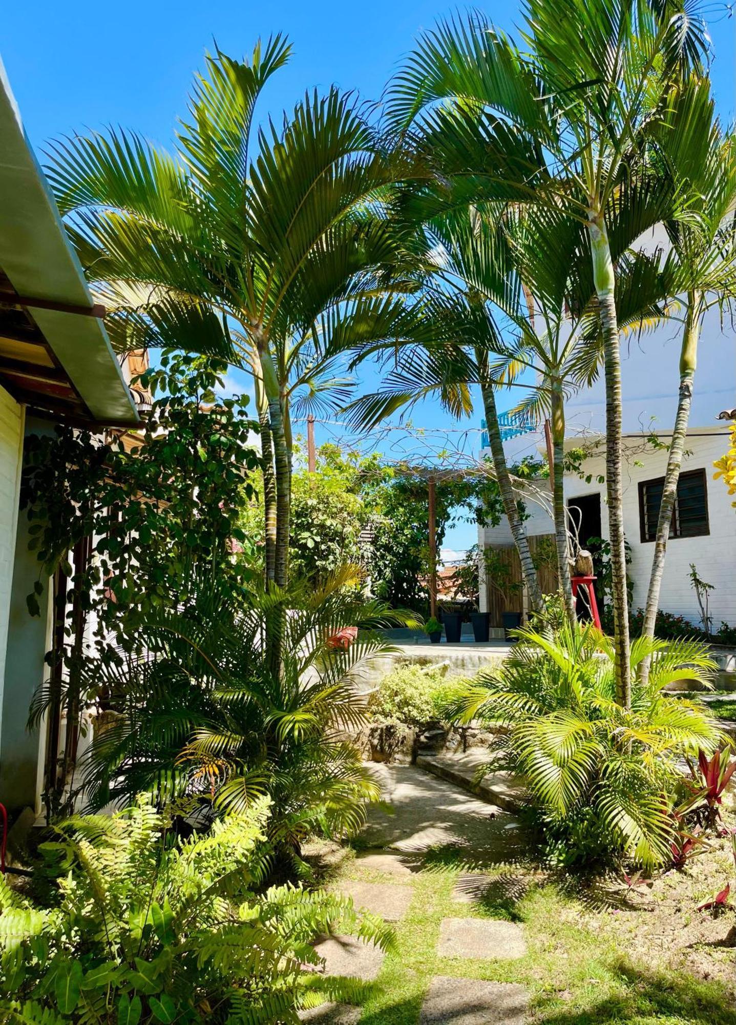 Casa Tua Pipa Apartman Praia de Pipa Kültér fotó