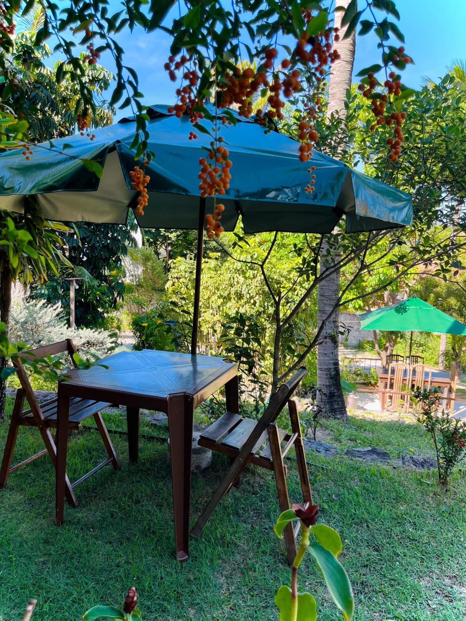 Casa Tua Pipa Apartman Praia de Pipa Kültér fotó